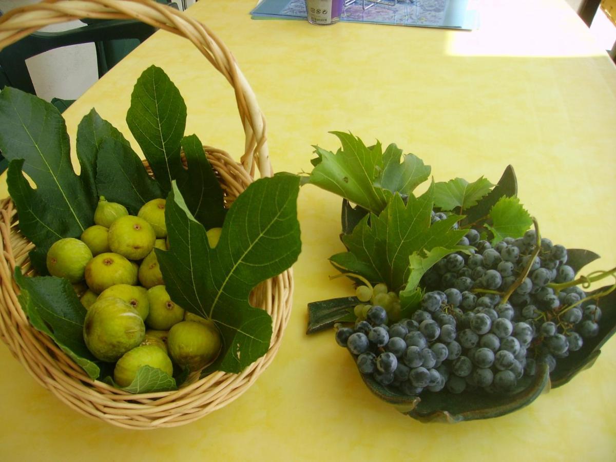 Apartmani Braut Kornić Esterno foto