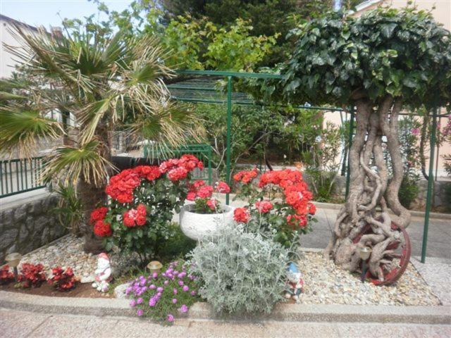 Apartmani Braut Kornić Esterno foto
